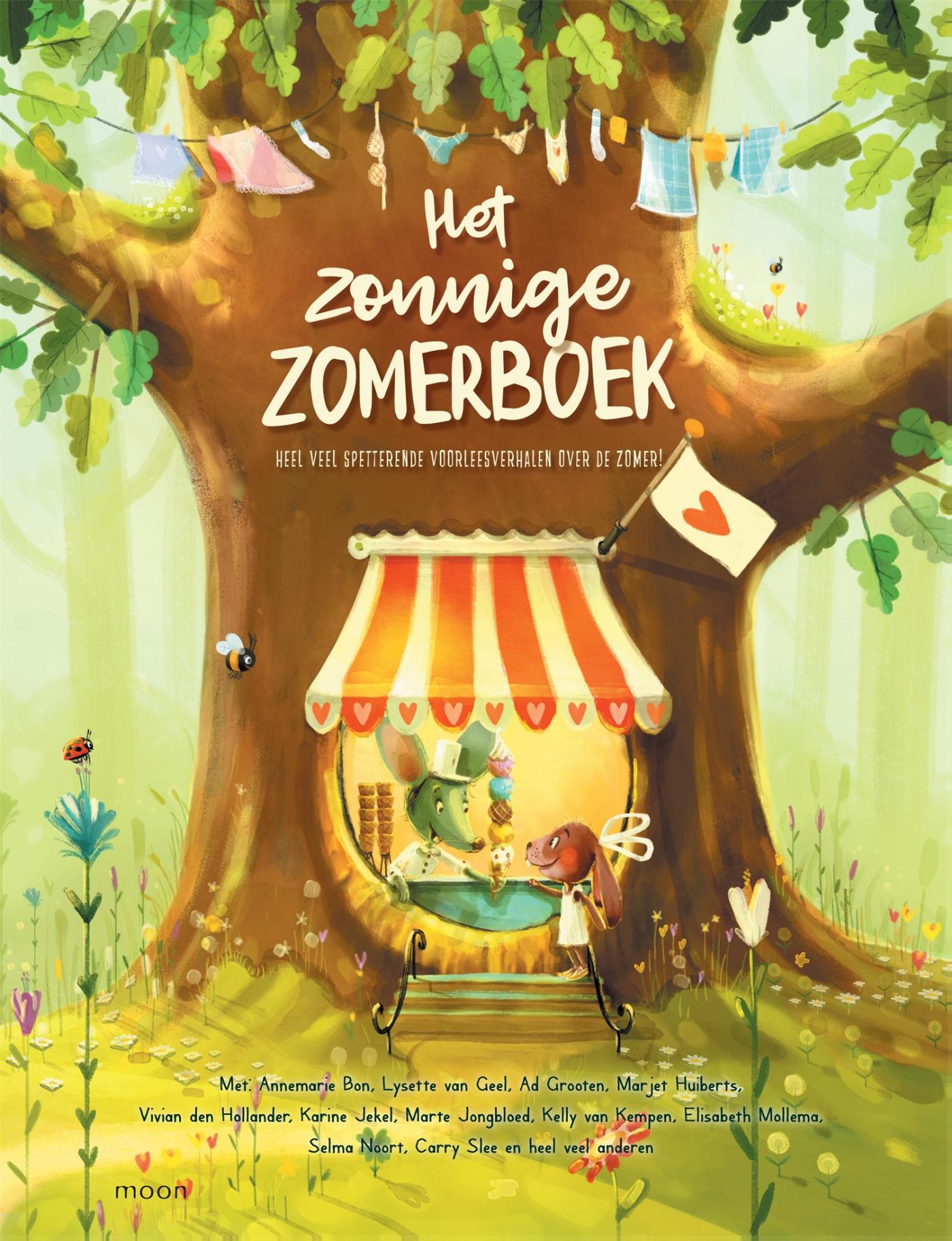 Omslag van Het zonnige zomerboek