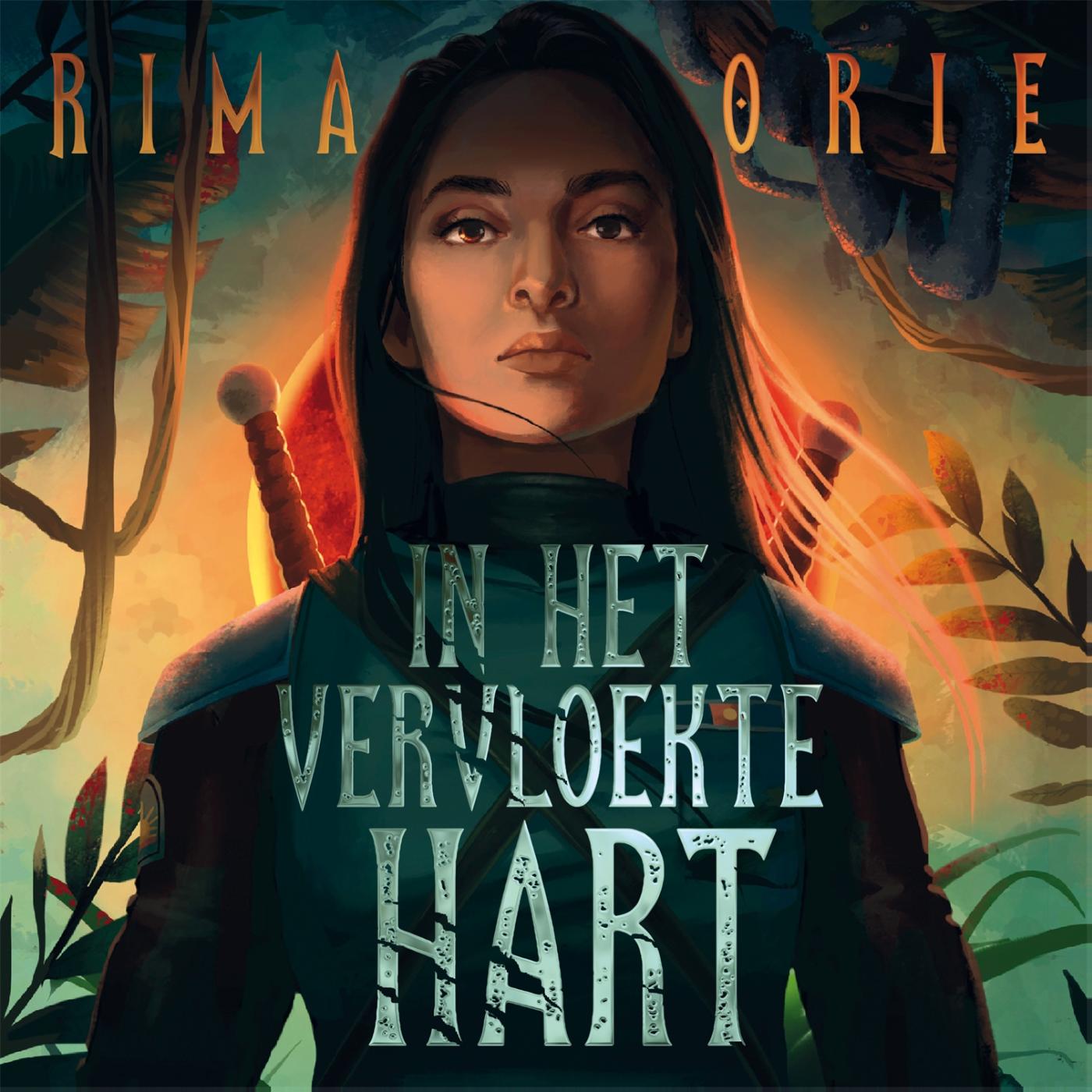 Omslag van In het vervloekte hart