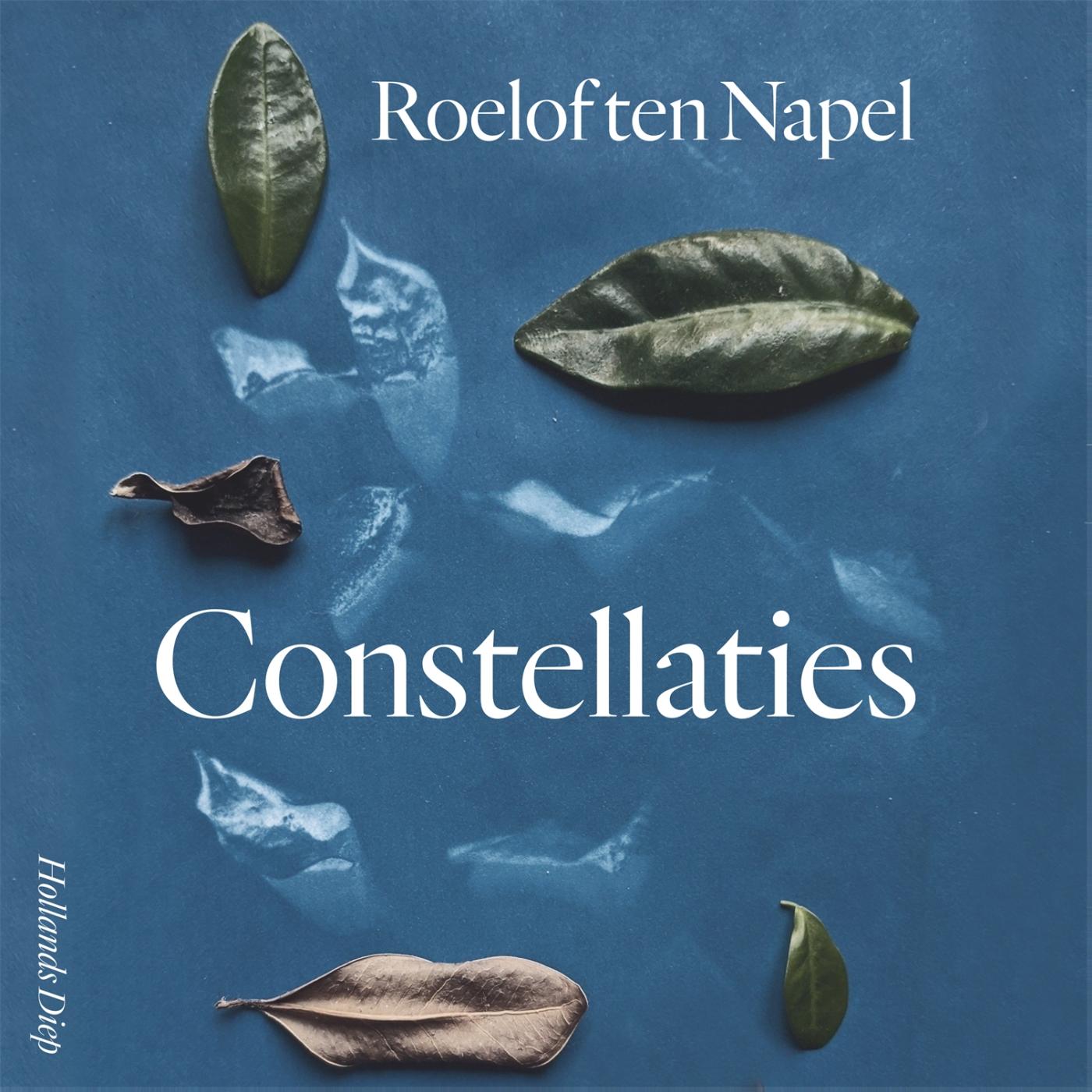 Omslag van Constellaties