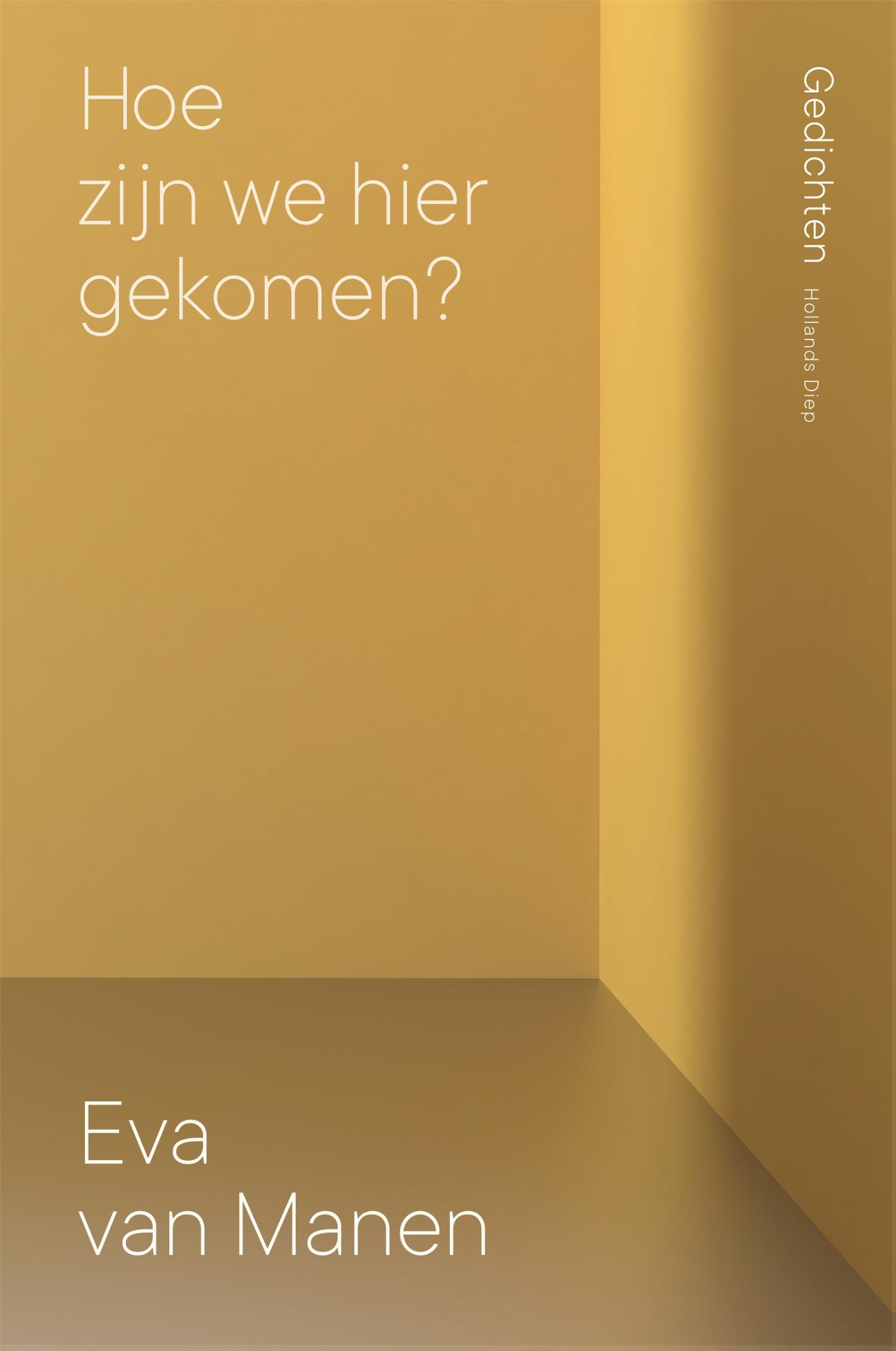 Omslag van Hoe zijn we hier gekomen?