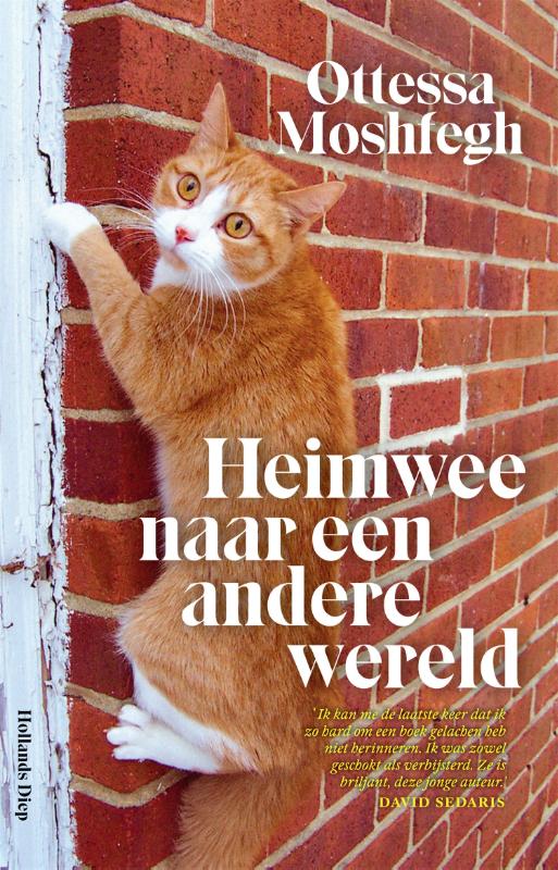 Omslag van Heimwee naar een andere wereld