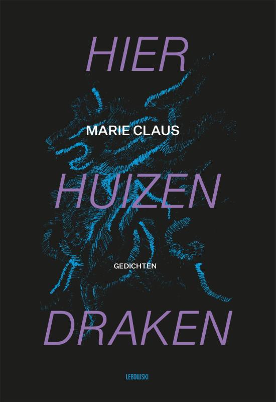 Omslag van Hier huizen draken