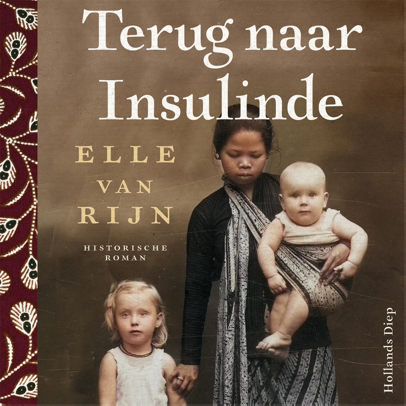 Omslag van Terug naar Insulinde