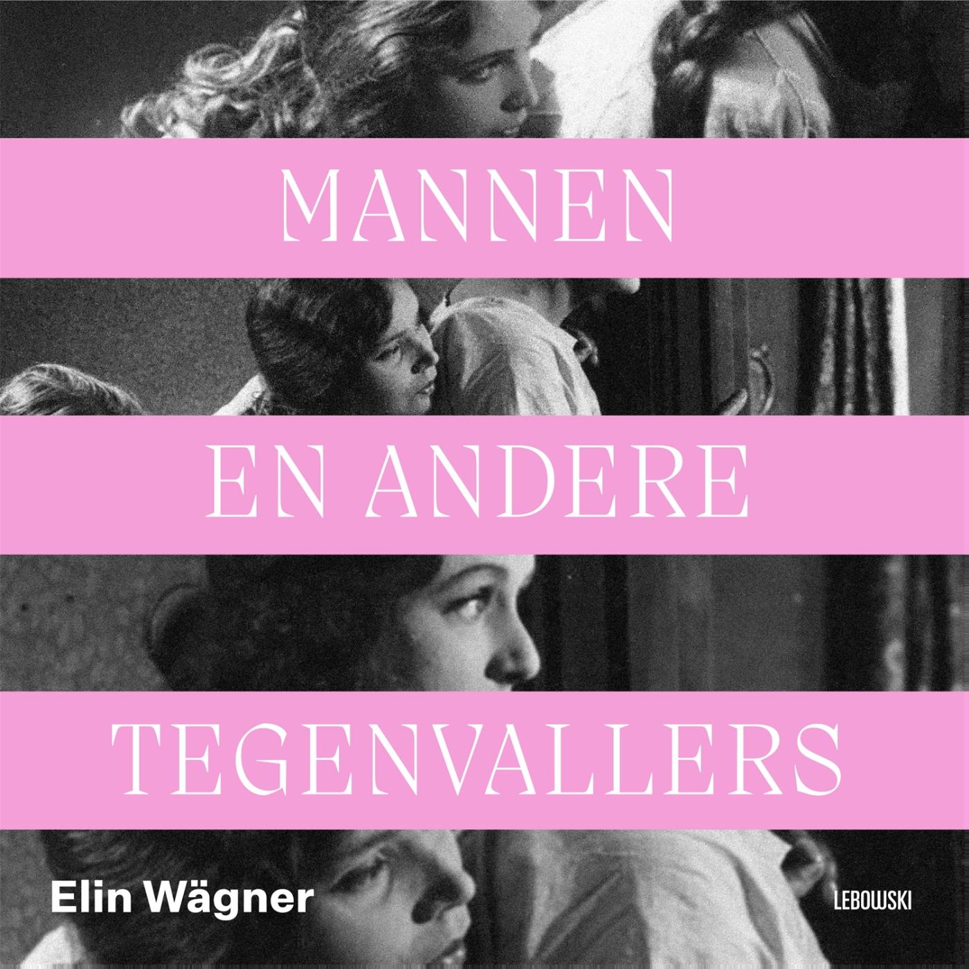 Omslag van Mannen en andere tegenvallers