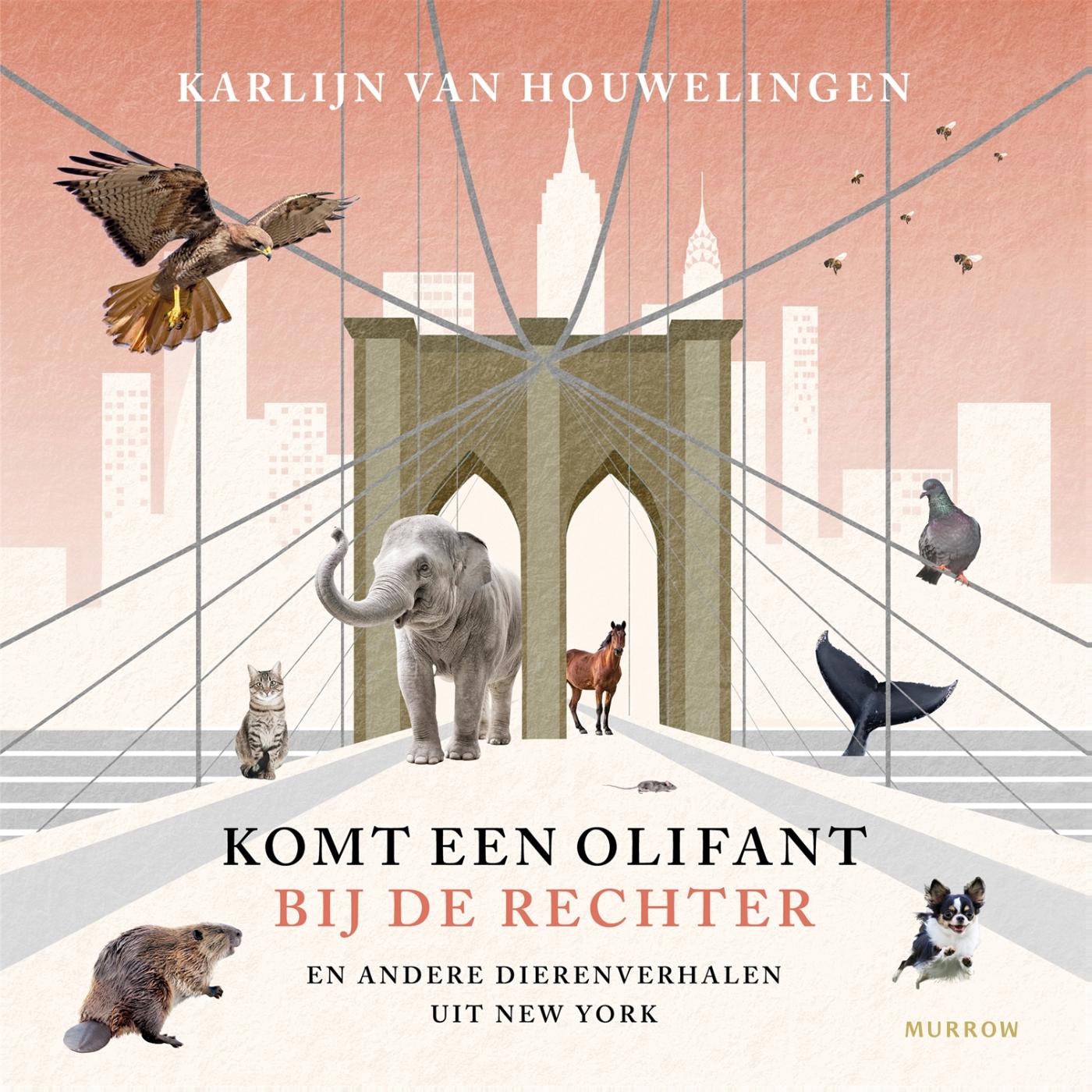 Omslag van Komt een olifant bij de rechter