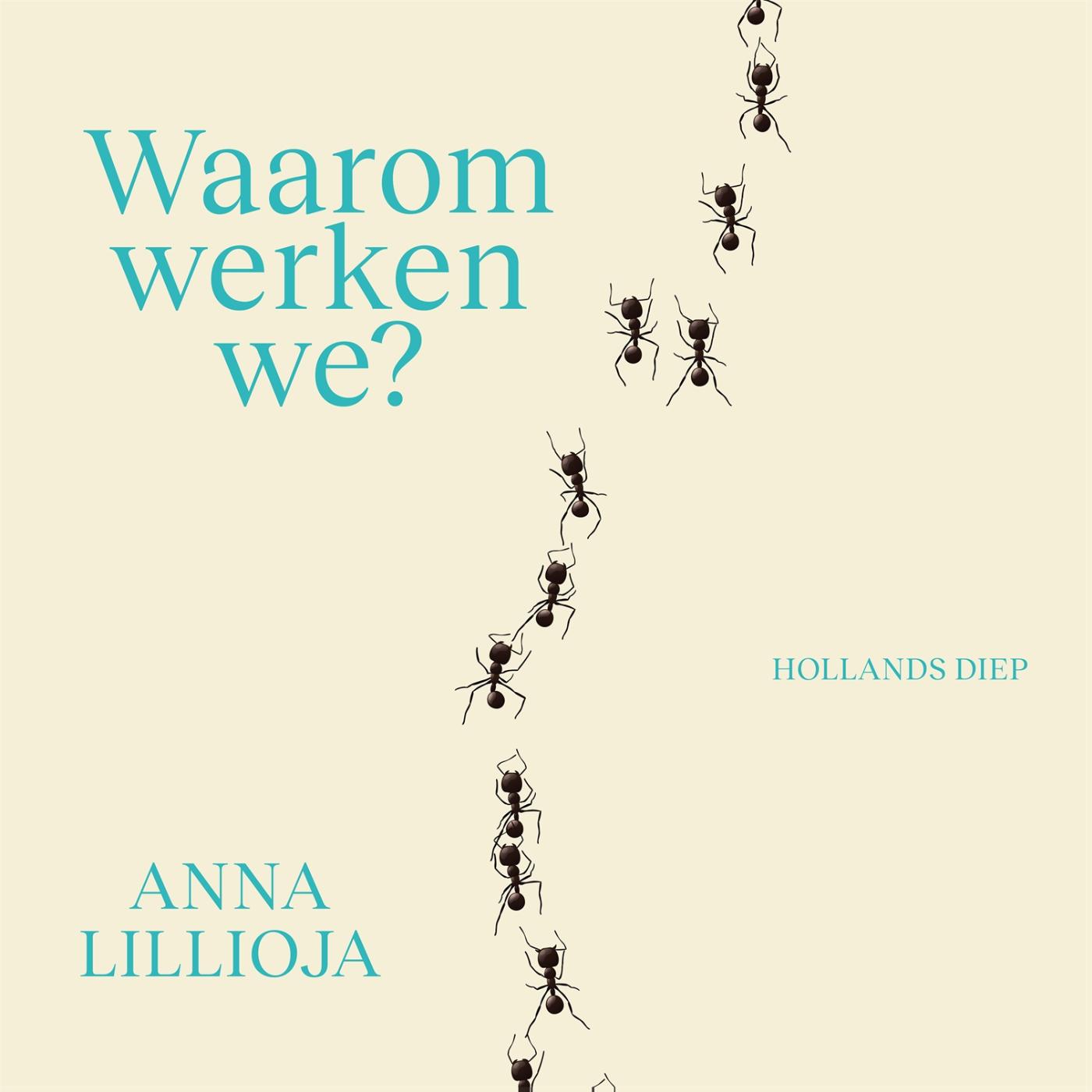 Omslag van Waarom werken we?