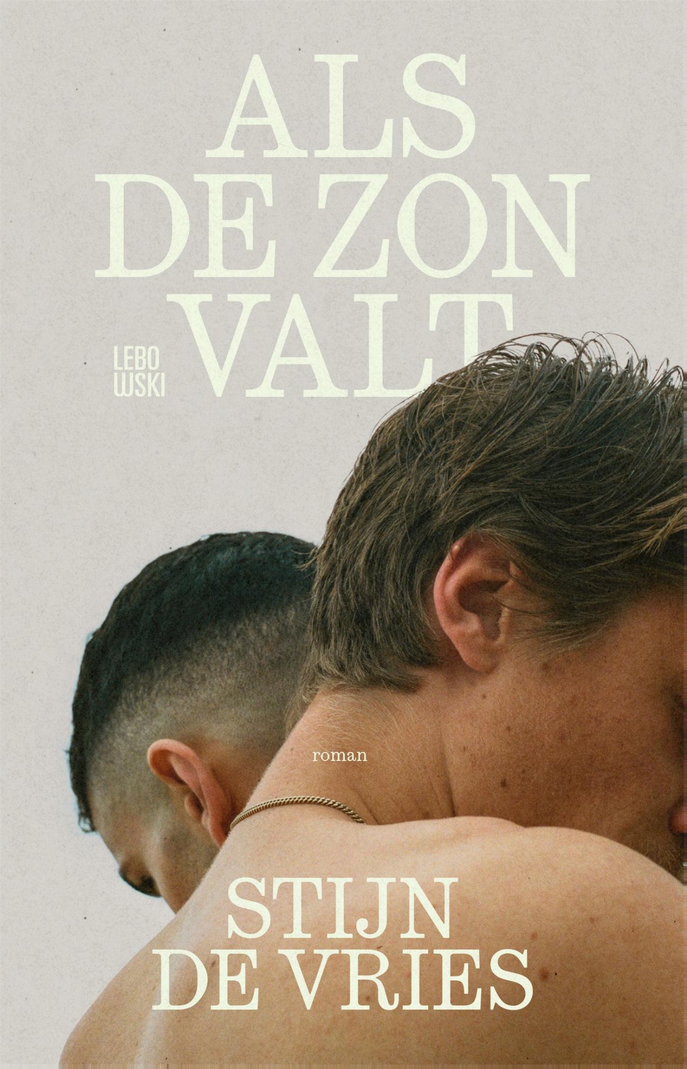 Omslag van Als de zon valt