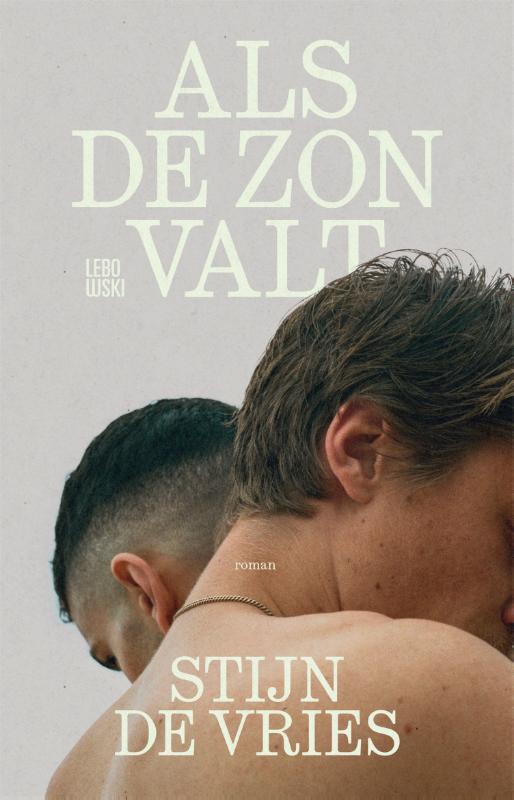 Omslag van Als de zon valt