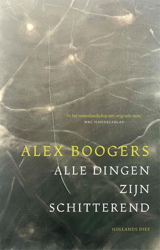 Omslag van Alle dingen zijn schitterend