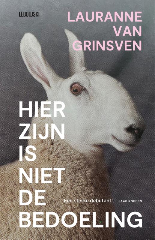 Omslag van Hier zijn is niet de bedoeling