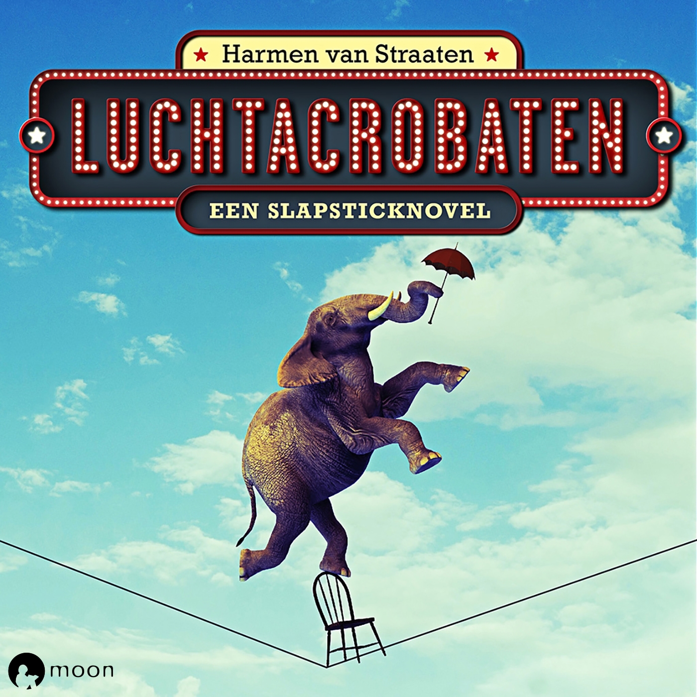 Omslag van Luchtacrobaten
