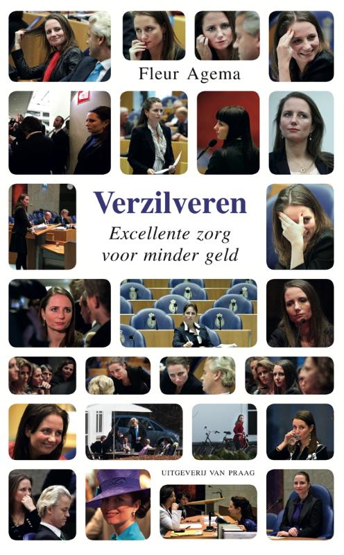 Omslag van Verzilveren