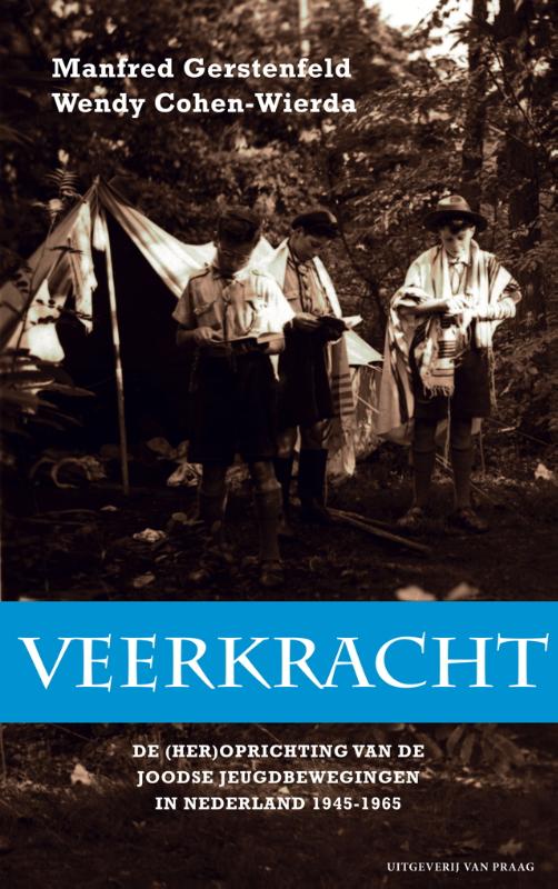 Omslag van Veerkracht