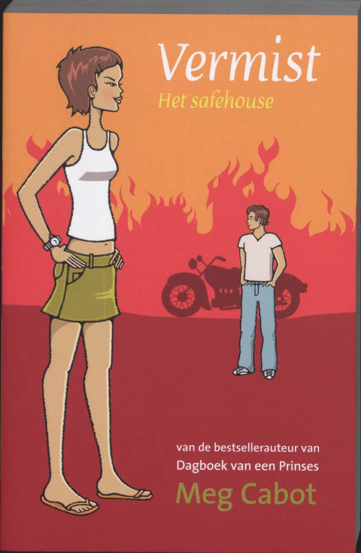 Omslag van Vermist
