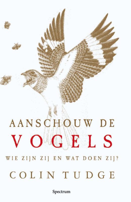 Omslag van Aanschouw de vogels
