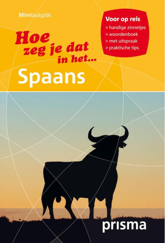 Omslag van Hoe zeg je dat in het Spaans