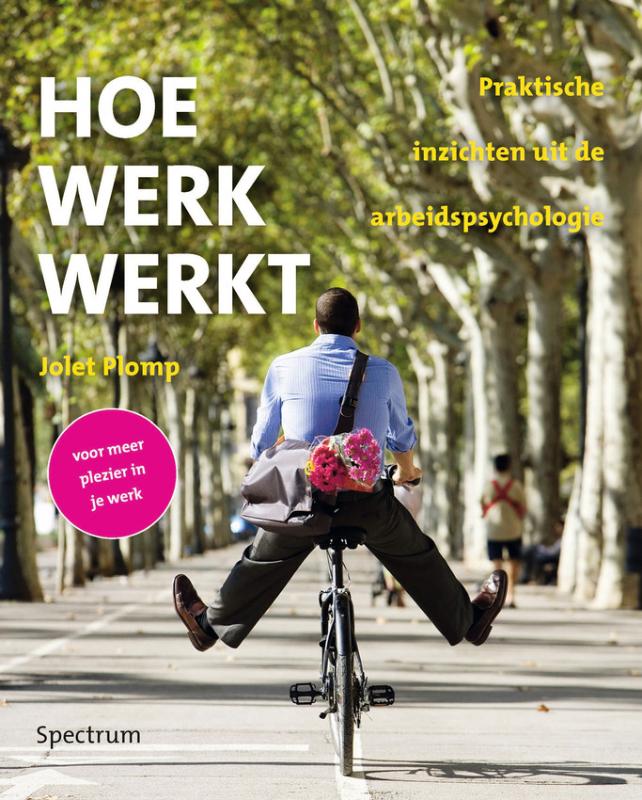 Omslag van Hoe werk werkt
