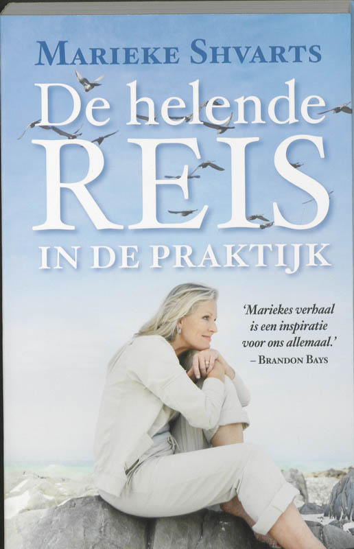 Omslag van De helende Reis in de praktijk