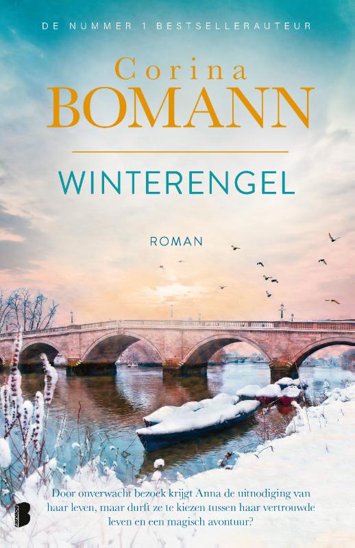 Omslag van Winterengel