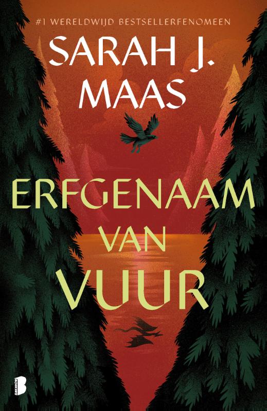Omslag van Erfgenaam van vuur