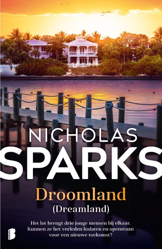 Omslag van Droomland