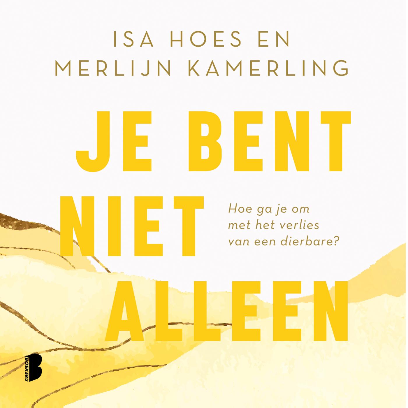 Omslag van Je bent niet alleen