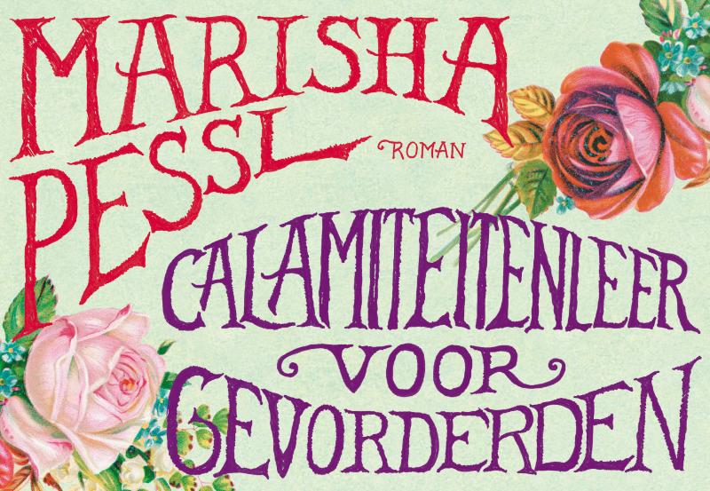 Omslag van Calamiteitenleer voor gevorderden