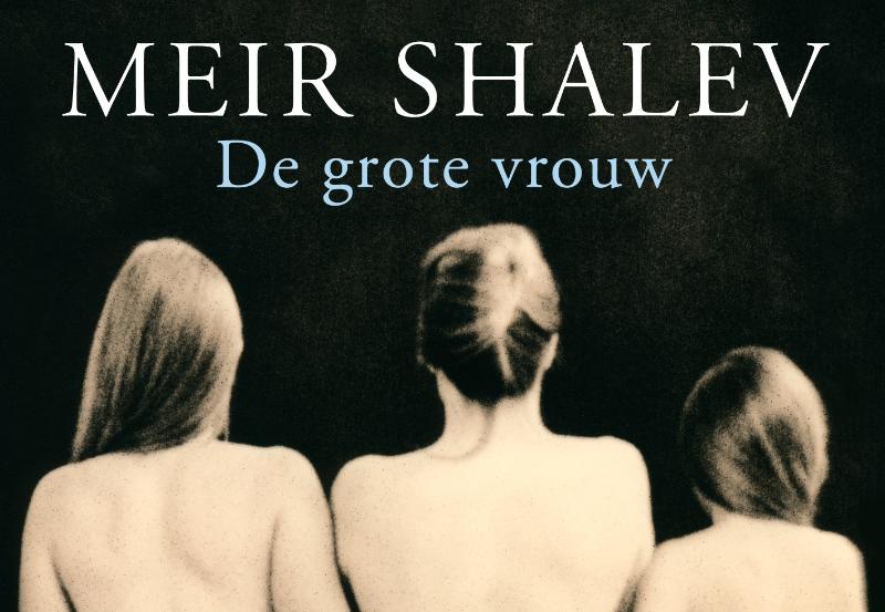 Omslag van De grote vrouw