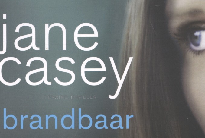 Omslag van Brandbaar