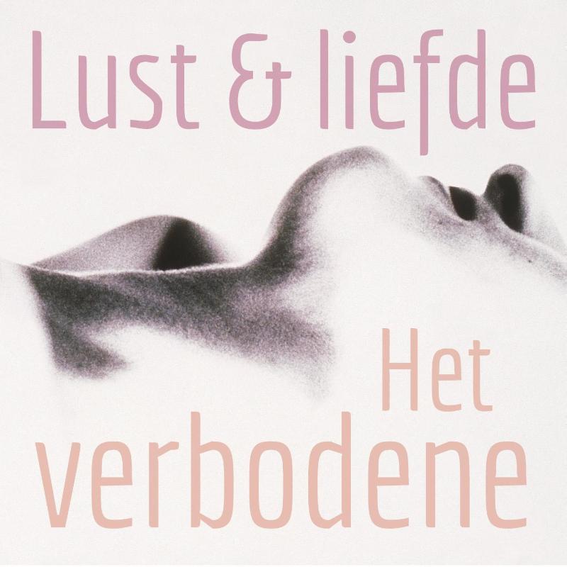 Omslag van Het verbodene