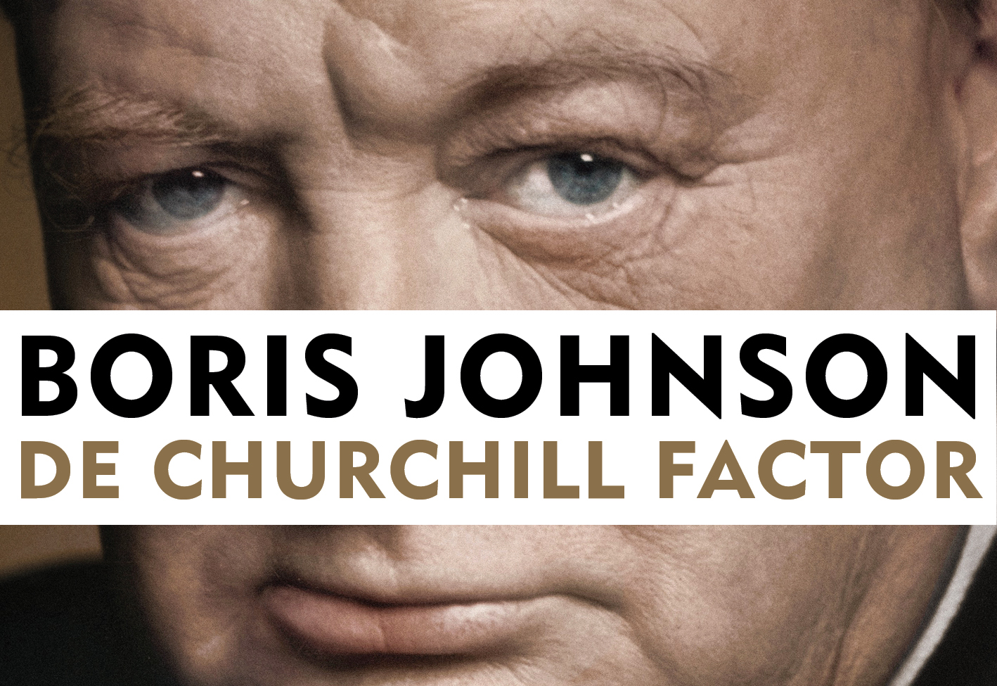 Omslag van De Churchill factor