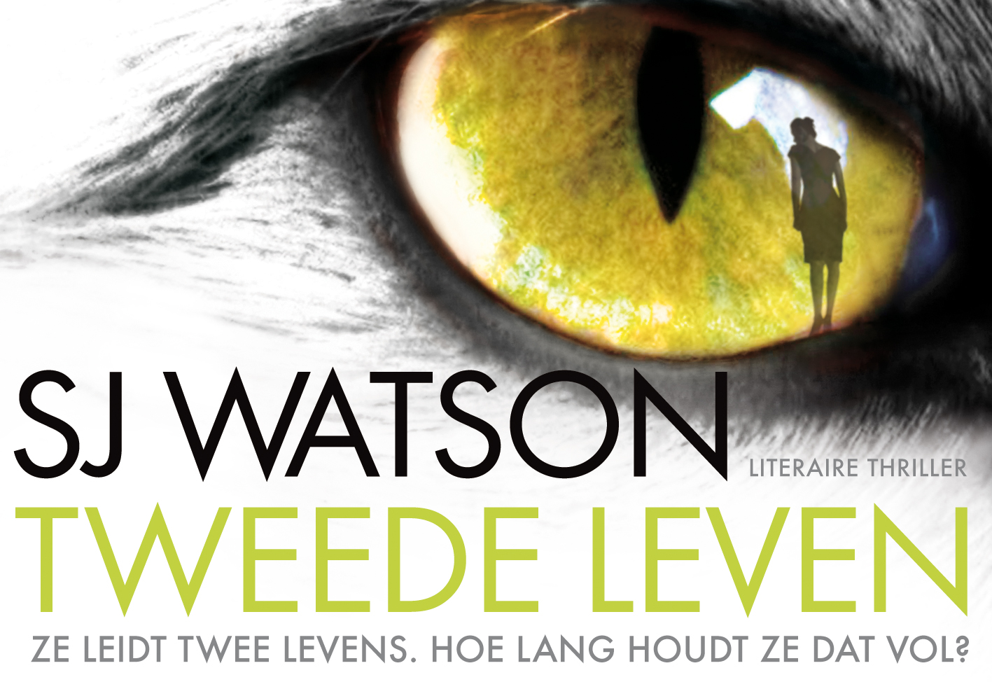 Omslag van Tweede leven