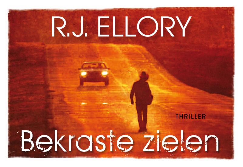 Omslag van Bekraste zielen