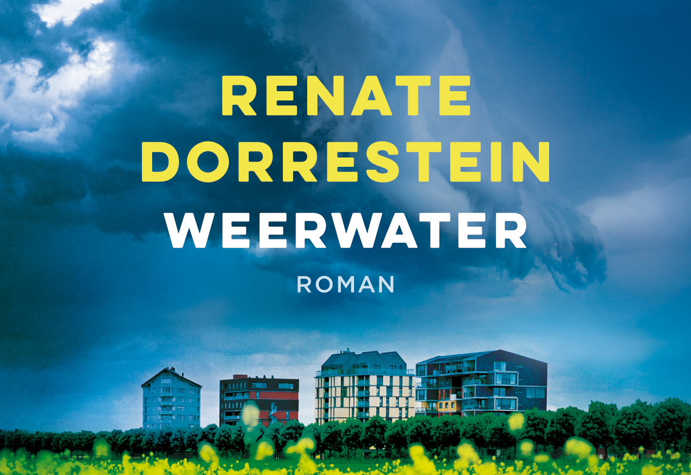 Omslag van Weerwater