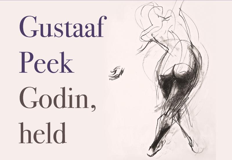 Omslag van Godin, held