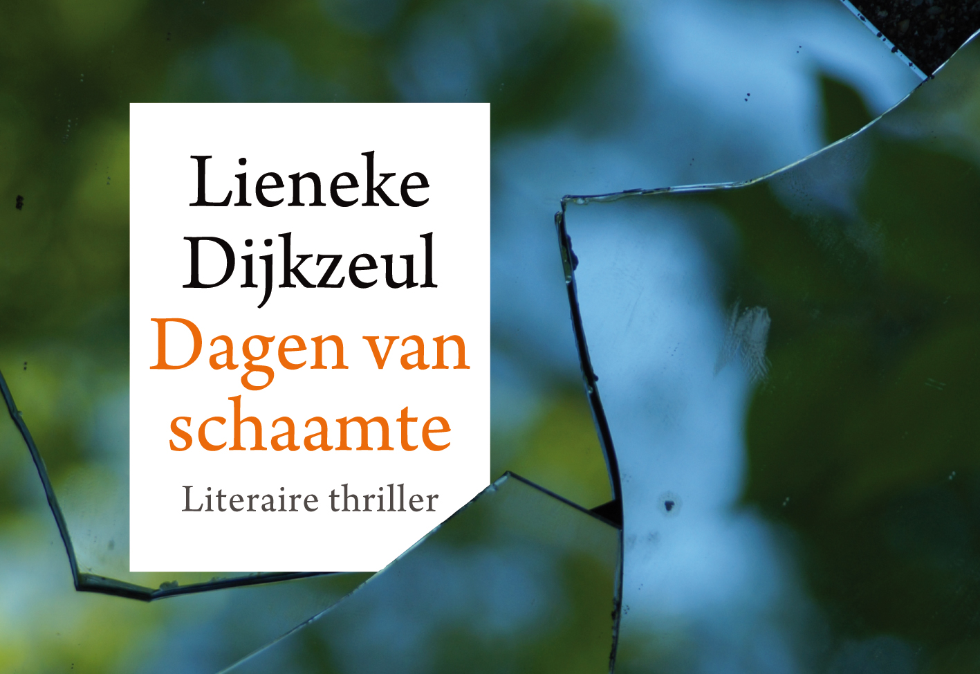 Omslag van Dagen van schaamte