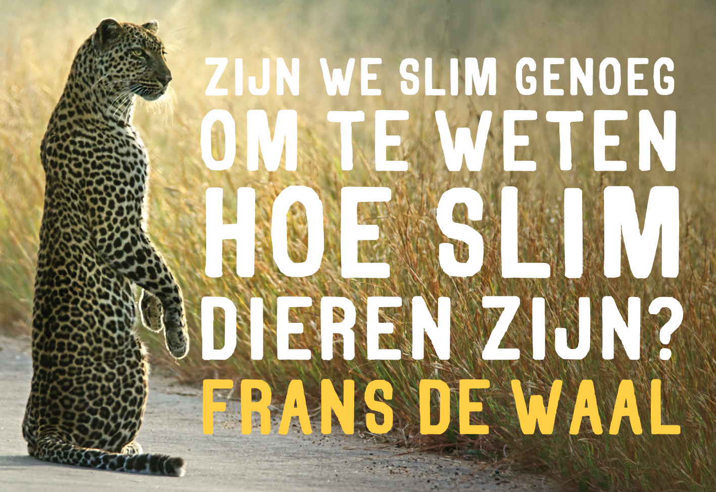 Omslag van Zijn we slim genoeg om te weten hoe slim dieren zijn