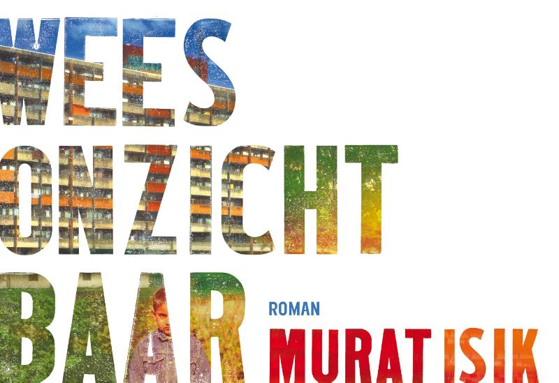 Omslag van Wees onzichtbaar