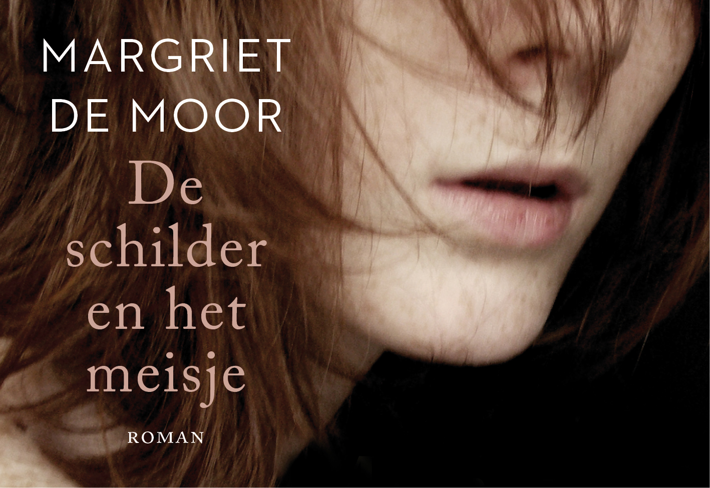 Omslag van De schilder en het meisje
