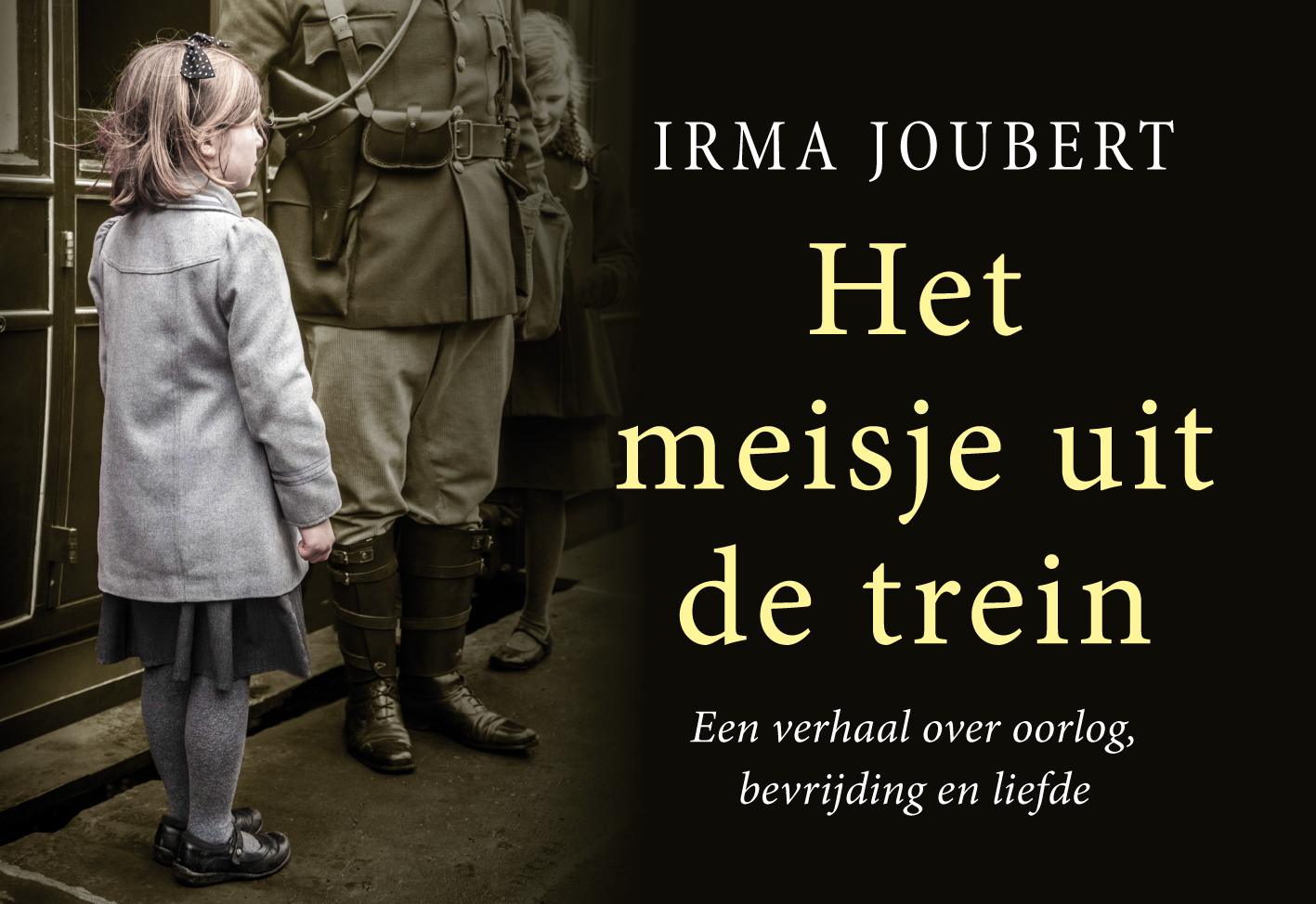 Omslag van Het meisje uit de trein