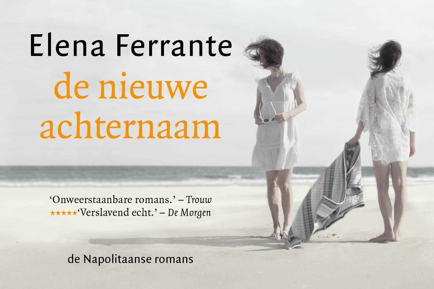 Omslag van De nieuwe achternaam