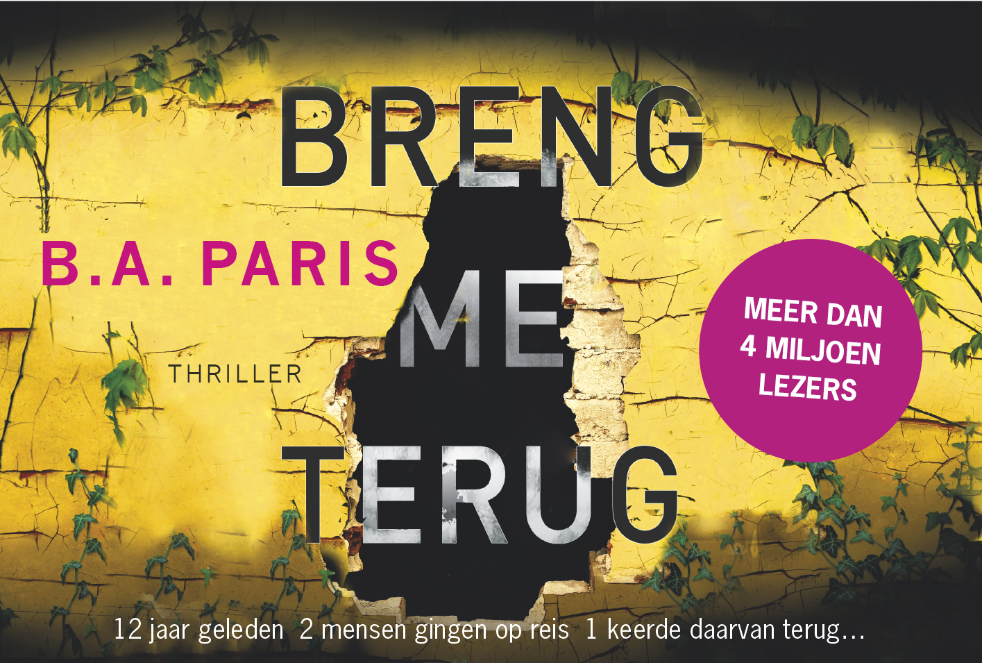 Omslag van Breng me terug