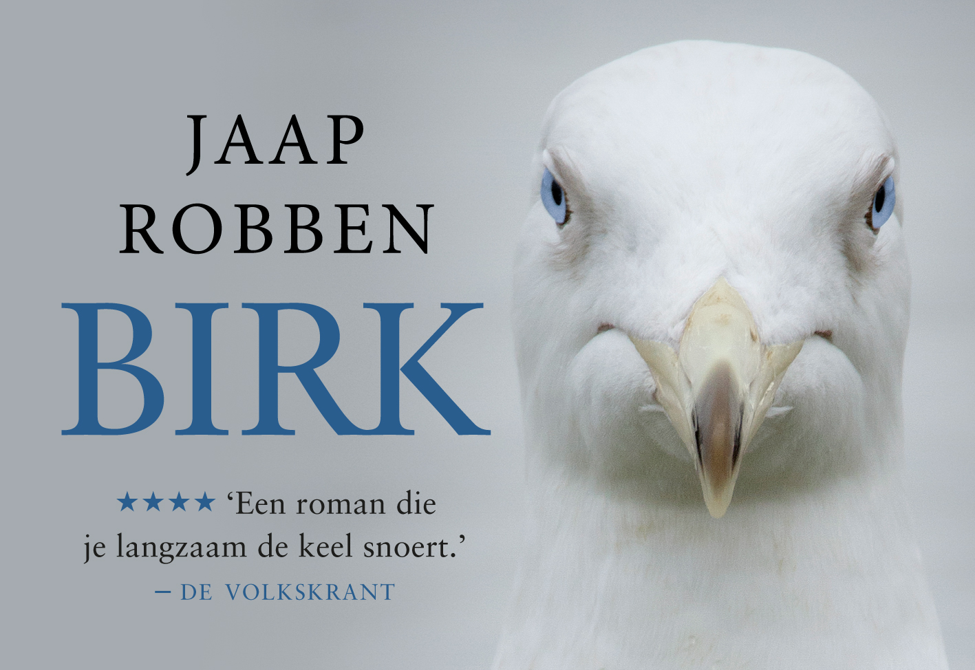 Omslag van Birk