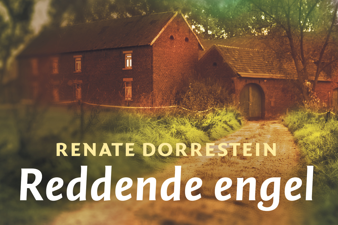 Omslag van Reddende engel