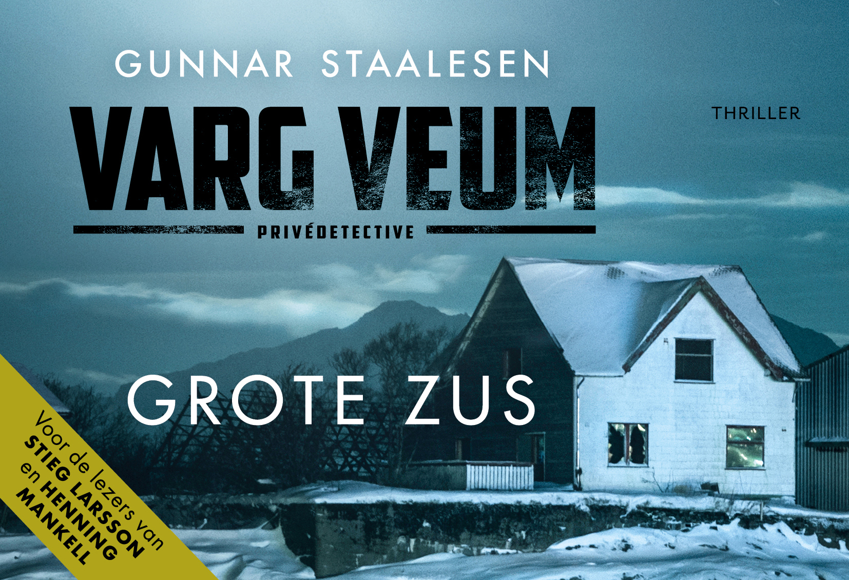 Omslag van Grote zus