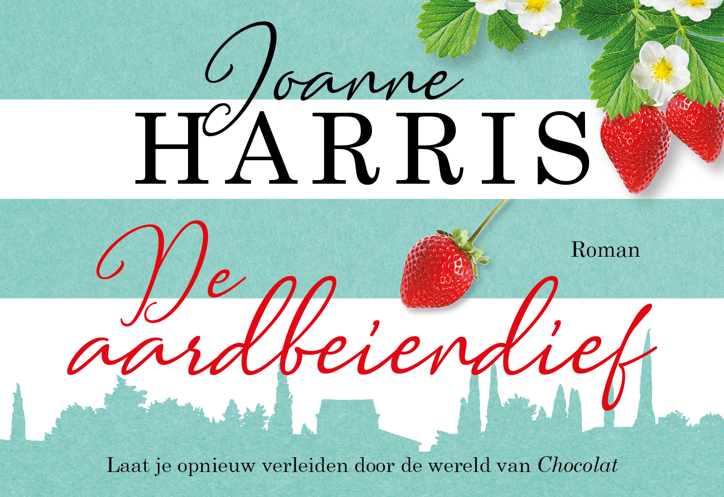 Omslag van De aardbeiendief DL