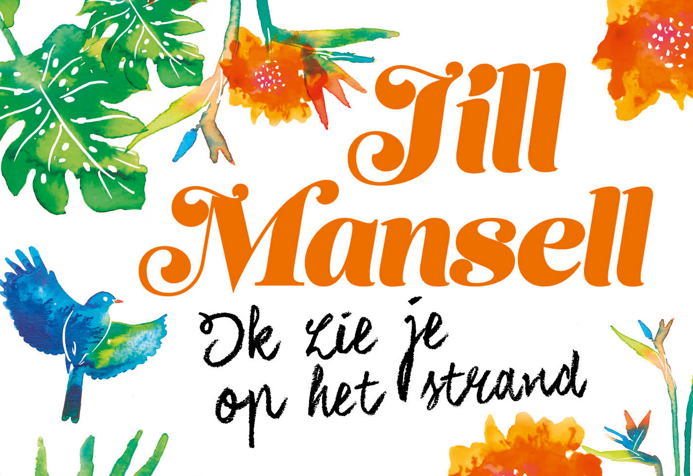 Omslag van Ik zie je op het strand DL