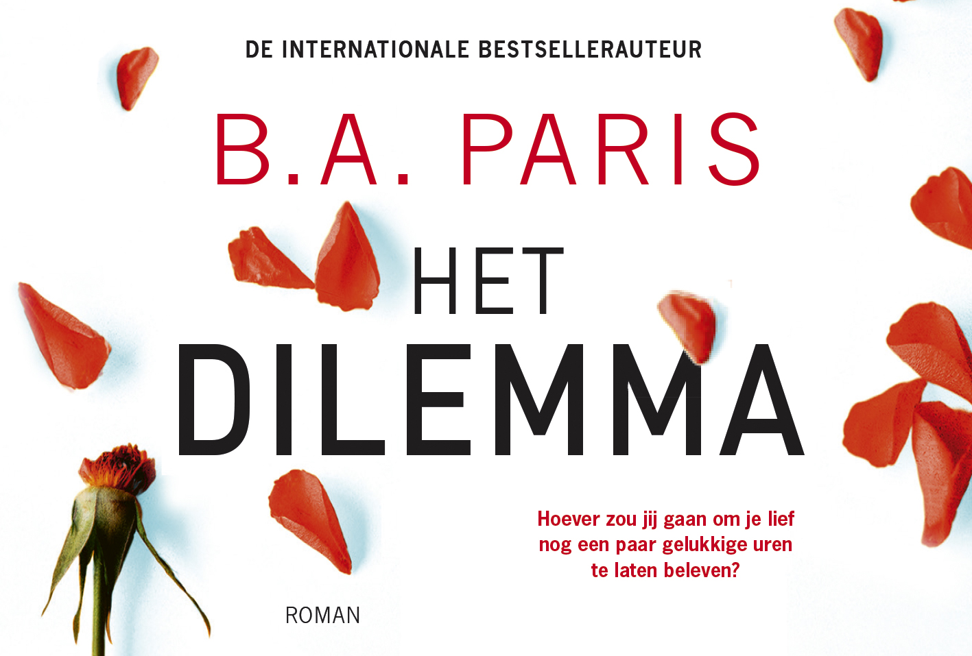 Omslag van Het dilemma