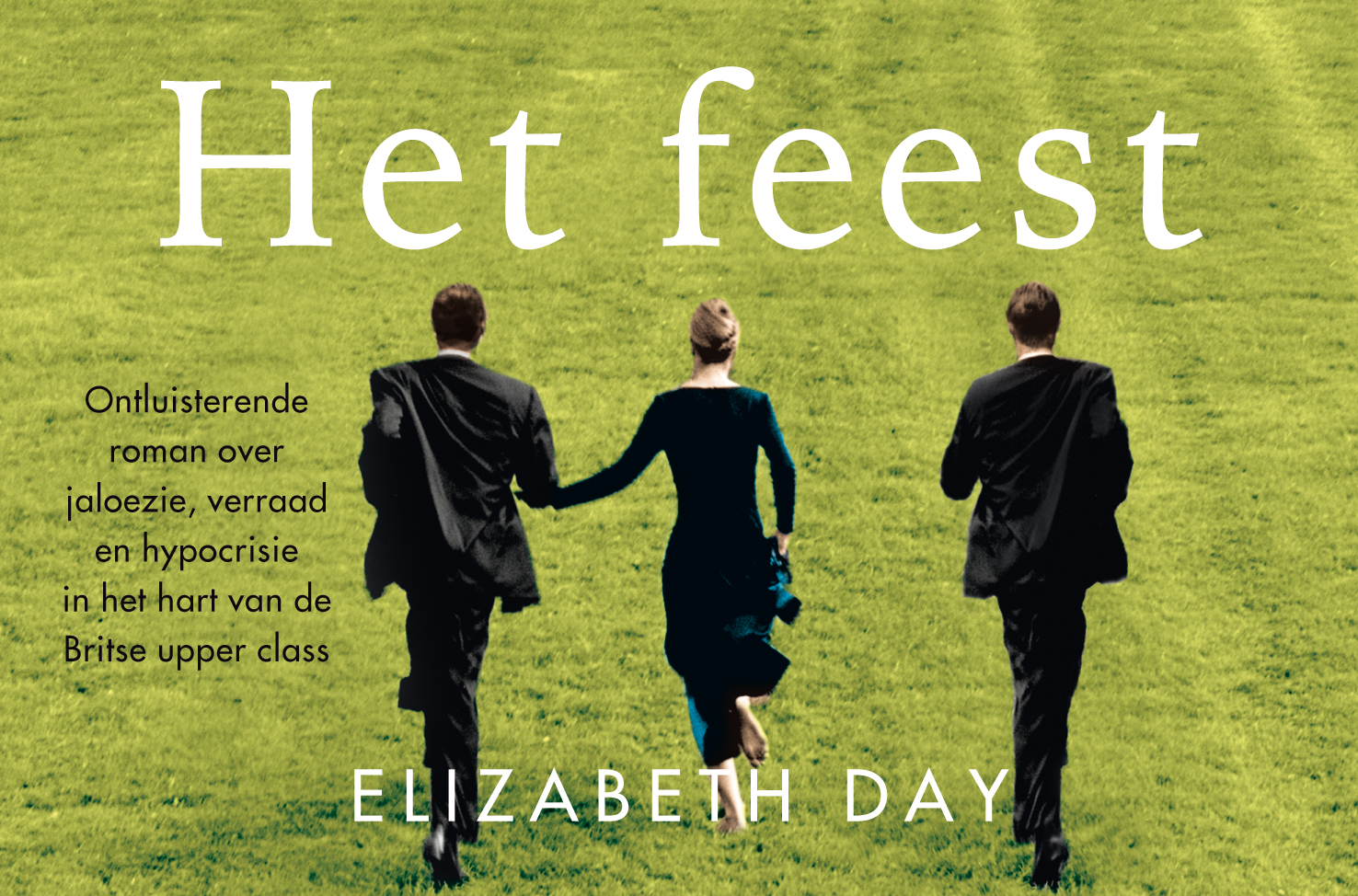 Omslag van Het feest