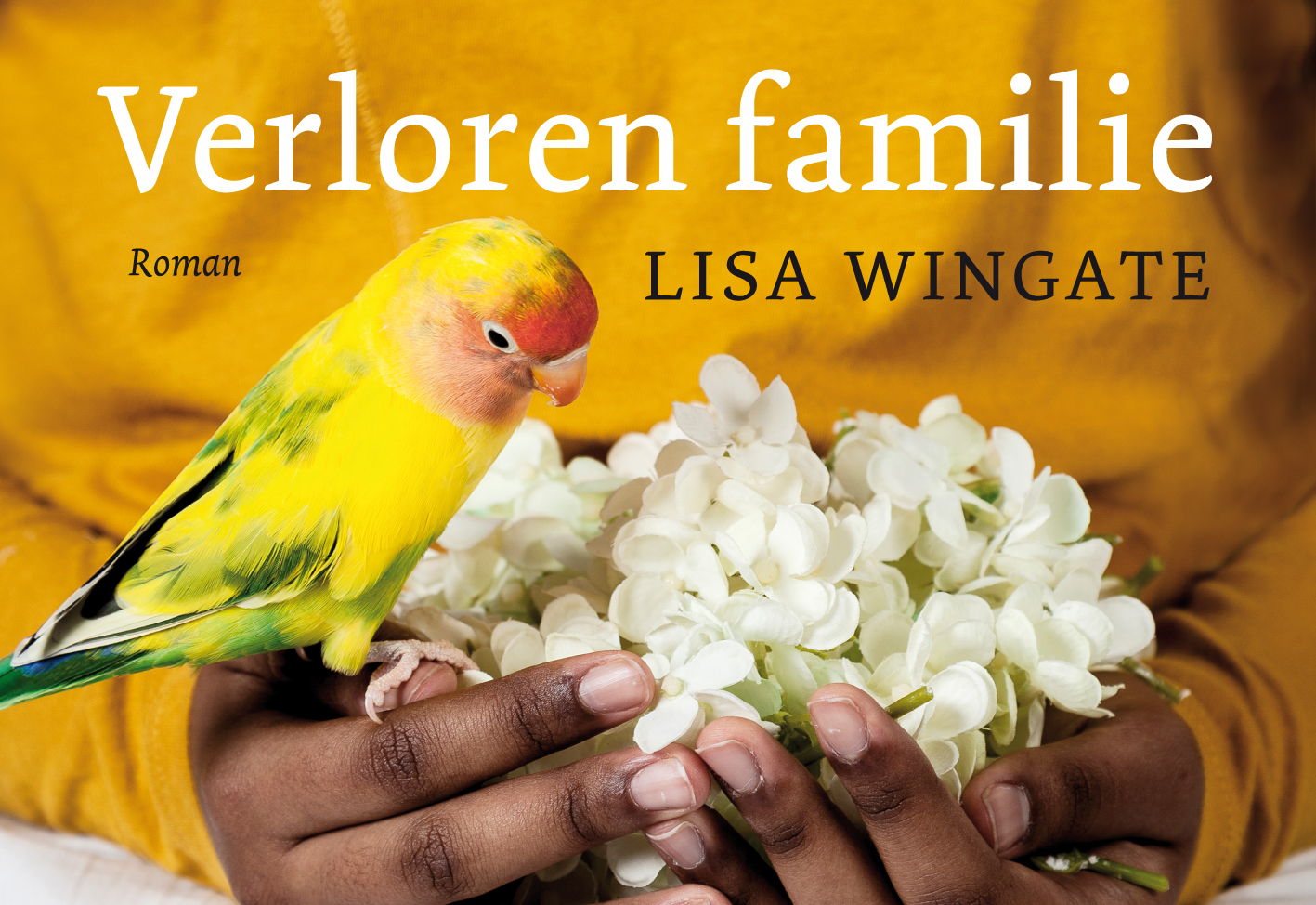Omslag van Verloren familie
